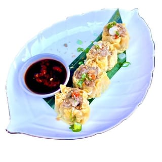 Thai Dumpling (4)